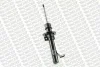 Амортизатор передн лів FORD FIESTA V MAZDA 2 1.2-1.6 11.01-06.08 MONROE G16384 (фото 3)