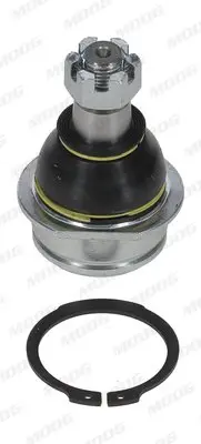 Шарова опора лів/прав (нижн передн) (діаметр конуса 21,1mm) DAIHATSU TERIOS NISSAN CABSTAR SUZUKI GRAND VITARA II, LIANA 1.3-2.7 10.97- MOOG DI-BJ-15439 (фото 1)