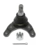 Шарова опора лів/прав (нижн передн) (діаметр конуса 22mm) FORD RANGER MAZDA BT-50 1.8-4.0 06.99- MOOG FD-BJ-15778 (фото 1)