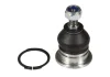 Шарова опора (верх передн) (діаметр конуса 12,7mm) HONDA ACCORD VI, ACCORD VII 1.6-3.0 12.99-05.08 MOOG HO-BJ-10953 (фото 1)