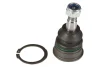 Шарова опора лів/прав (нижн передн) NISSAN PIXO SUZUKI ALTO VII, CELERIO, SWIFT IV, SWIFT V 1.0-1.6 01.09- MOOG NI-BJ-12582 (фото 1)