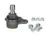 Шарова опора лів/прав (нижн передн) (діаметр конуса 12mm) OPEL ASTRA G, ASTRA G CLASSIC, ASTRA H, ASTRA H CLASSIC, ASTRA H GTC, MERIVA B, OMEGA B, VECTRA B, ZAFIRA A, ZAFIRA B 1.2-3.2 03.94-03.17 MOOG OP-BJ-5583 (фото 1)