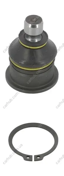 Шарова опора лів/прав (нижн передн) (діаметр конуса 16mm) RENAULT MEGANE II, SCENIC I 1.4-2.0 11.00-02.08 MOOG RE-BJ-2094 (фото 1)