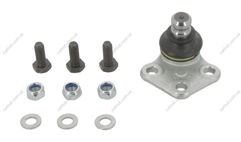Шарова опора лів (нижн передн) (діаметр конуса 20mm) MERCEDES CITAN MIXTO (DOUBLE CABIN), CITAN (MPV), CITAN/MINIVAN (W415) RENAULT KANGOO BE BOP, KANGOO EXPRESS, KANGOO II 1.2-Electric 02.08- MOOG RE-BJ-7431 (фото 1)