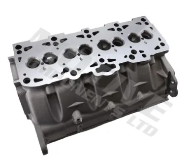Головка блоку циліндрів VW T5 1.9TDI/Caddy 1.9TDI/2.0SDI 03- MOTIVE CYW805