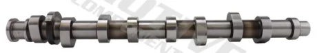 Розподільчий вал AUDI A3, A4 B5, A4 B6, A4 B7 SEAT ALTEA, ALTEA XL, EXEO, EXEO ST, LEON, TOLEDO III SKODA OCTAVIA I, OCTAVIA II VW BORA, BORA I, CADDY III 1.6/1.6ALK/1.6LPG 06.00-05.15 MOTIVE T2184