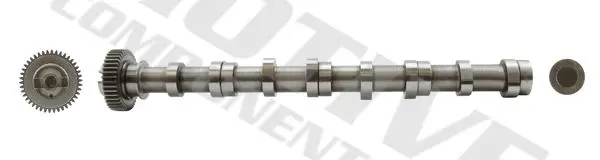 Вал розподільчий VW Caddy III/IV/ T5/T6/ Crafter 30-50 2.0 TDI 10- (сторона впуску) MOTIVE T2622 (фото 1)