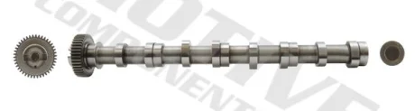 Вал розподільчий VW Caddy III/IV/ T5/T6/ Crafter 30-50 2.0 TDI 10- (сторона впуску) MOTIVE T2622
