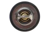 Термостат Ford Fiesta/Escort 1.1-1.3i 86-03 MOTORAD 200-92JK (фото 3)
