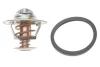 Термостат Nissan Pick Up 2.5D/TD 98-05/Mitsubishi L300 2.5TD 87-04 (75°C) MOTORAD 233-75JK (фото 1)