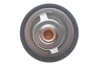 Термостат системи охолодження (82°C) NISSAN 100NX, 240SX, ALMERA TINO, ALTIMA, CABSTAR E, MURANO III, NAVARA, PATHFINDER IV, PICK UP, PRAIRIE PRO, PRIMERA, SENTRA V, SUNNY III 2.0-3.0D 10.86- MOTORAD 427-82K (фото 3)