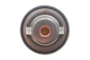 Термостат Kia Sorento 3.3/Toyota Hilux 2.5D/Land Cruiser Prado 3.0D 93- (82°С) MOTORAD 635-82K (фото 3)