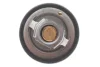 Термостат Renault Laguna 2.0dCi 07-15/Megane 1.2/1.4TCe 09-/Nissan Micra/Qashqai 1.2-2.0 07-13 (82°) MOTORAD 647-82K (фото 3)