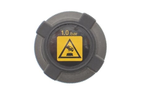 Кришка бачка розширювального Fiat Ducato 98- MOTORAD T198