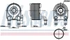 Радіатор масла MEGANE/SCÉNIC III (JZ0/1_) 1.4 09-16 NISSENS 91249 (фото 1)