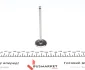 Клапан (впуск) Citroen C1/C3/Peugeot 108/308 1.2/1.2VTi 12- (29,15х4.98х92.55) = 5637000000 NPR 147 037 0001 00 (фото 4)