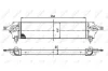 Радіатор інтеркулера Nissan Qashqai 1.5/2.0dCi 07-13 NRF 30513 (фото 5)