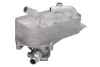 Радіатор масляний АКПП BMW 1(E81-88)/3(E90-93) 1.6-3.0D 04-15 (теплообмінник) M47/N43/N45/N46/N47 NRF 310058 (фото 1)