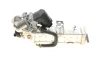 Радіатор рециркуляції ВГ з клапаном EGR BMW 3 (F30)/5 (F10) 09-18 (N47/B47/N57) NRF 48451 (фото 6)
