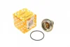 Термостат VW T4/T5/Audi A4/A5 2.0TSI/TFSI 02- NRF 725209 (фото 1)
