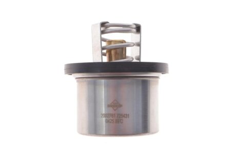 Термостат Porsche Cayenne 3.6/4.8 07-10 (89°C) NRF 725431