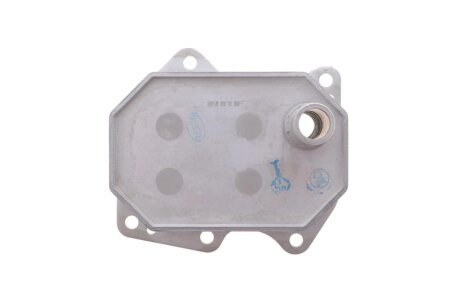 Радіатор масляний Ford Transit 2.2D/2.4D 06-(без прокладок) NRF DSC_31212