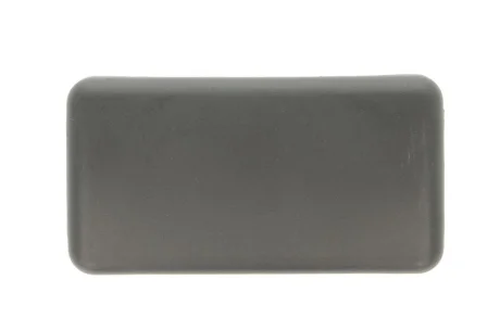 Корпус/кришка зовнішнього дзеркала заднього виду лів/прав RVI MAGNUM 09.90- PACOL RVI-MR-017