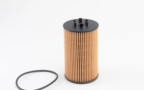 Фільтр масляний MB C-class (W204)/E-class (W211/W212) 6.2 M156 06-15 PURFLUX Purflux L1102