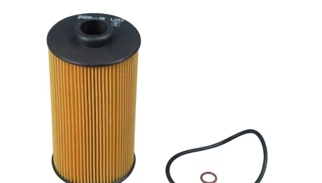 Фільтр масляний BMW 5 (E39)/7 (E38) 3.0 94-03 PURFLUX Purflux L293