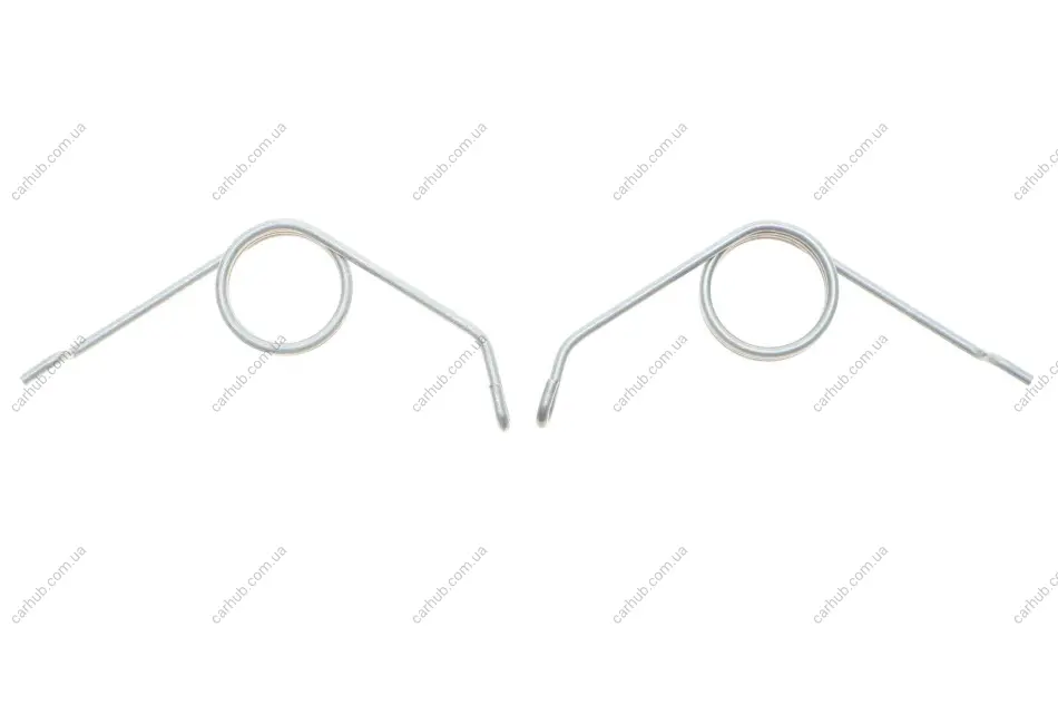 Пружини супорта (заднього) Audi A4/A6/VW Golf VI 94-13 (К-кт L+R) QUICK BRAKE 113-0504 (фото 1)