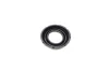 Ремкомплект супорта (заднього) Ford Transit 00-13 (d=36mm) QUICK BRAKE 114-0134 (фото 9)
