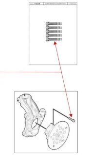 Комплект болтів маточини колеса Ford Transit Custom V363/Transit V 12- (К-кт 5 шт) QUICK BRAKE 11633K