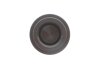 Поршень супорта (заднього) Citroen C5 01- (d=32mm) QUICK BRAKE 185040K (фото 3)