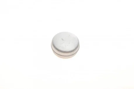 Кришка підшипника маточини (задньогого) Fiat Ducato/Citroen Jumper 82-02 (d=62mm) = K QUICK BRAKE 9821