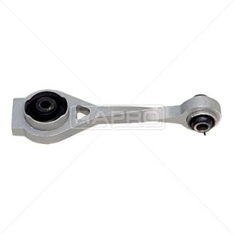 Подушка двигуна задня 1.9dTi Kangoo 00-/Megane 01-03 RAPRO R55219