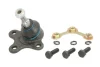 Шарова опора прав (нижн передн) (діаметр конуса 14,7mm) SEAT AROSA VW LUPO I, POLO, POLO III, POLO III CLASSIC 1.0-1.9D 10.94-07.05 REINHOCH RH03-0029 (фото 1)