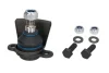 Шарова опора лів/прав (нижн передн) (діаметр конуса 18,6mm) FORD GALAXY I, GALAXY MK I SEAT ALHAMBRA VW SHARAN 1.8-2.8 03.95-03.10 REINHOCH RH03-4017 (фото 1)