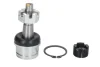 Шарова опора лів/прав (нижн передн) JEEP GRAND CHEROKEE II, WRANGLER I, WRANGLER II, WRANGLER III 2.5-4.7 12.91- REINHOCH RH03-6004 (фото 1)
