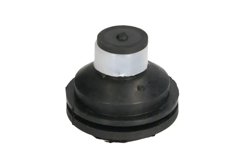 Подушка двигуна передн RENAULT CLIO I, GRAND SCENIC II, KANGOO, KANGOO EXPRESS, LOGAN I, MEGANE II, SANDERO/STEPWAY I 1.0-2.0 05.90- REINHOCH RH11-2109 (фото 1)
