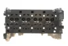 Головка блоку циліндрів Renault Master 2.3dCi 10- RENAULT 110415059R (фото 4)