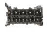 Головка блоку циліндрів Master 2.3dCi 10- RENAULT 110415059R (фото 5)