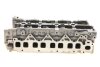 Головка блоку циліндрів Master 2.3dCi 10- RENAULT 110415059R (фото 6)