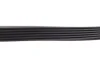 Комплект ременя генератора Opel Vivaro/Renault Trafic II 1.9dCi/2.0 16V 01- (+AC) (6PK1792) RENAULT 117200713R (фото 6)