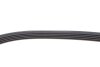 Фото 6 - комплект ременя генератора Kangoo 1.4i/1.6i 97- (5PK1113) RENAULT 117201773R Комплект ременя генератора Kangoo 1.4i/1.6i 97- (5PK1113) RENAULT 117201773R (фото 6)