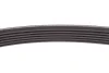 Комплект ременя генератора Renault Kangoo 1.5dCi 09- (6PK1197) RENAULT 117202495R (фото 6)