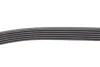 Комплект ременя генератора Renault Duster 1.5dCi 10- (6PK1178) RENAULT 117202506R (фото 6)