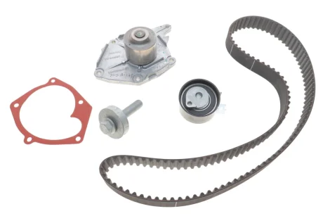 Комплект ГРМ + помпа Renault Kangoo 1.5dCi 01- RENAULT 119A02421R