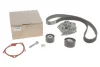 Комплект ГРМ + помпа Renault Clio III/Megane II/III/Scenic II/Trafic 2.0 16V 01- (27x126z) RENAULT 119A06559R (фото 1)