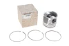 Поршень Renault Master/Opel Movano 2.3dCI/CDTI 14- (85.00mm/STD) RENAULT 120A12695R (фото 1)