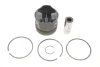 Поршень Renault Megane II/III 1.5dCi 03-/Kangoo 1.5dCi 08- (STD) RENAULT 120A17699R (фото 1)